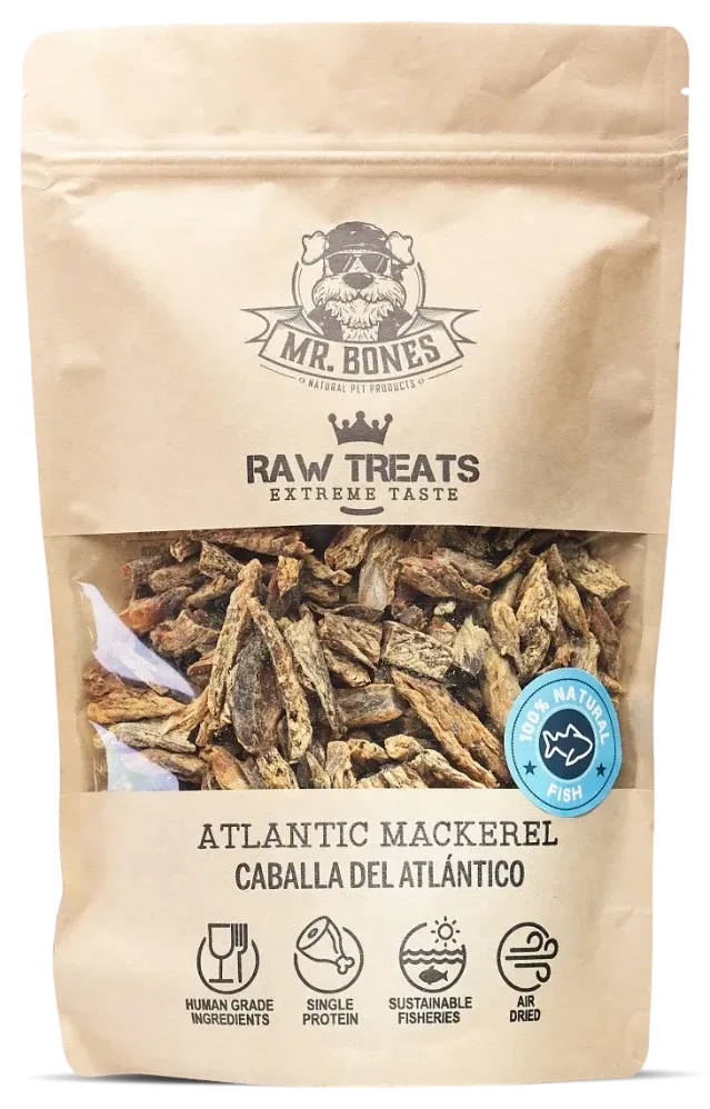Makrela atlantická | XL 400g