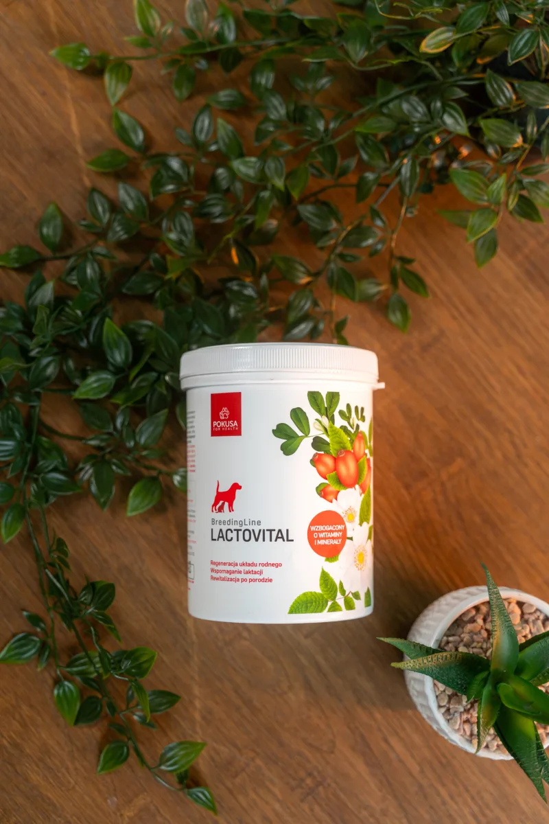 Doplnok výživy na podporu laktácie LactoVital | BreedingLine
