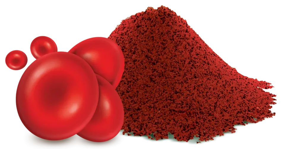 Hemoglobín | Raw Diet Line