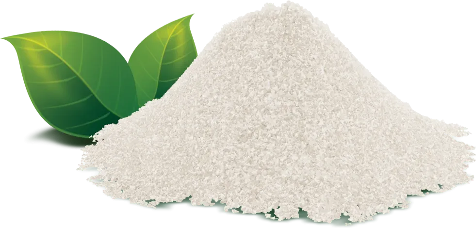 MSM | Raw Diet Line