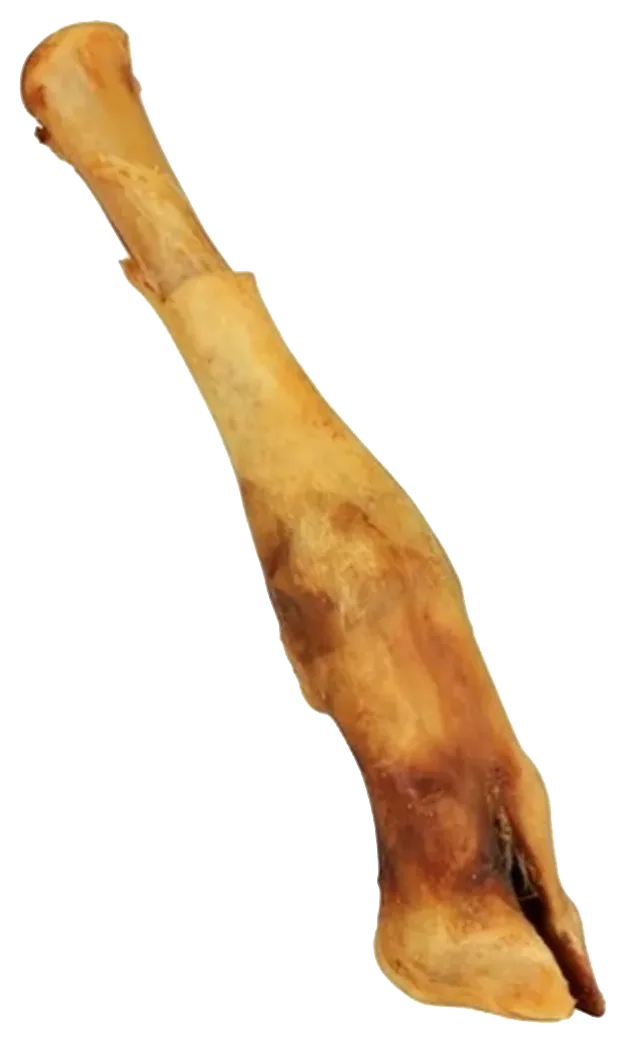 Sušená ovčia noha